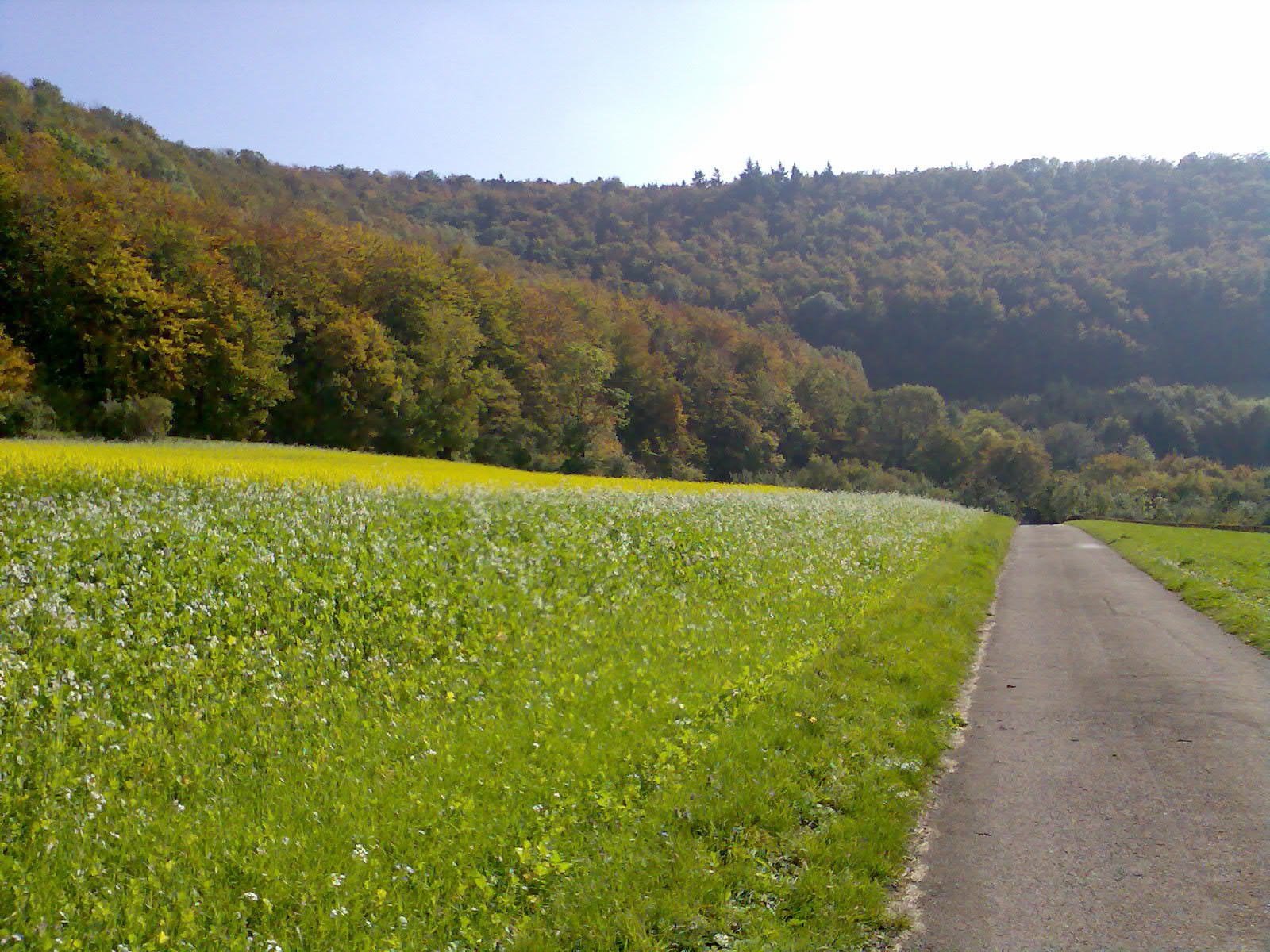 Psychotherapeutische Spaziergänge in der Natur